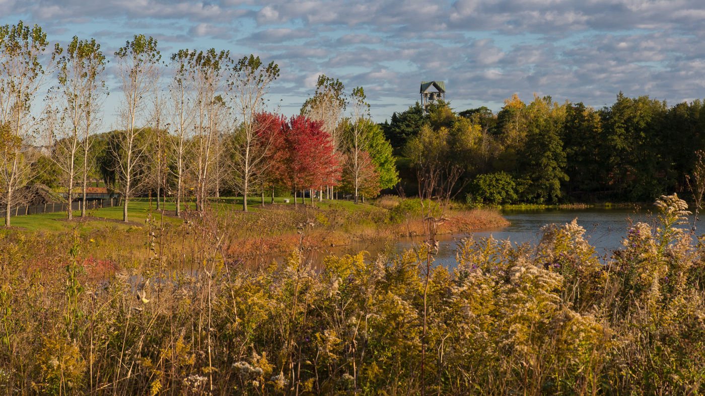 Fall Prairie