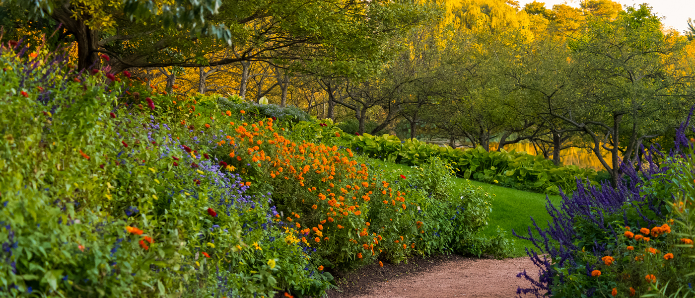 Fall walking path