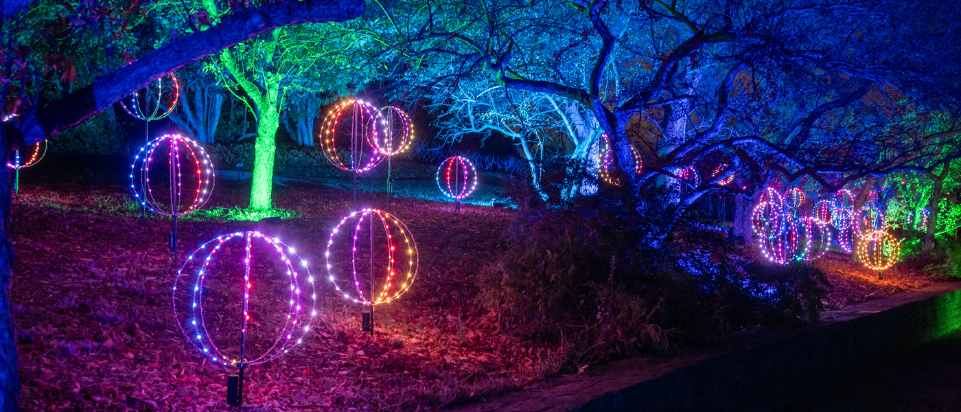 Firefly Spheres in the Sensory Garden