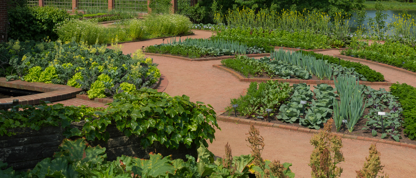 Regenstein Fruit & Vegetable Garden