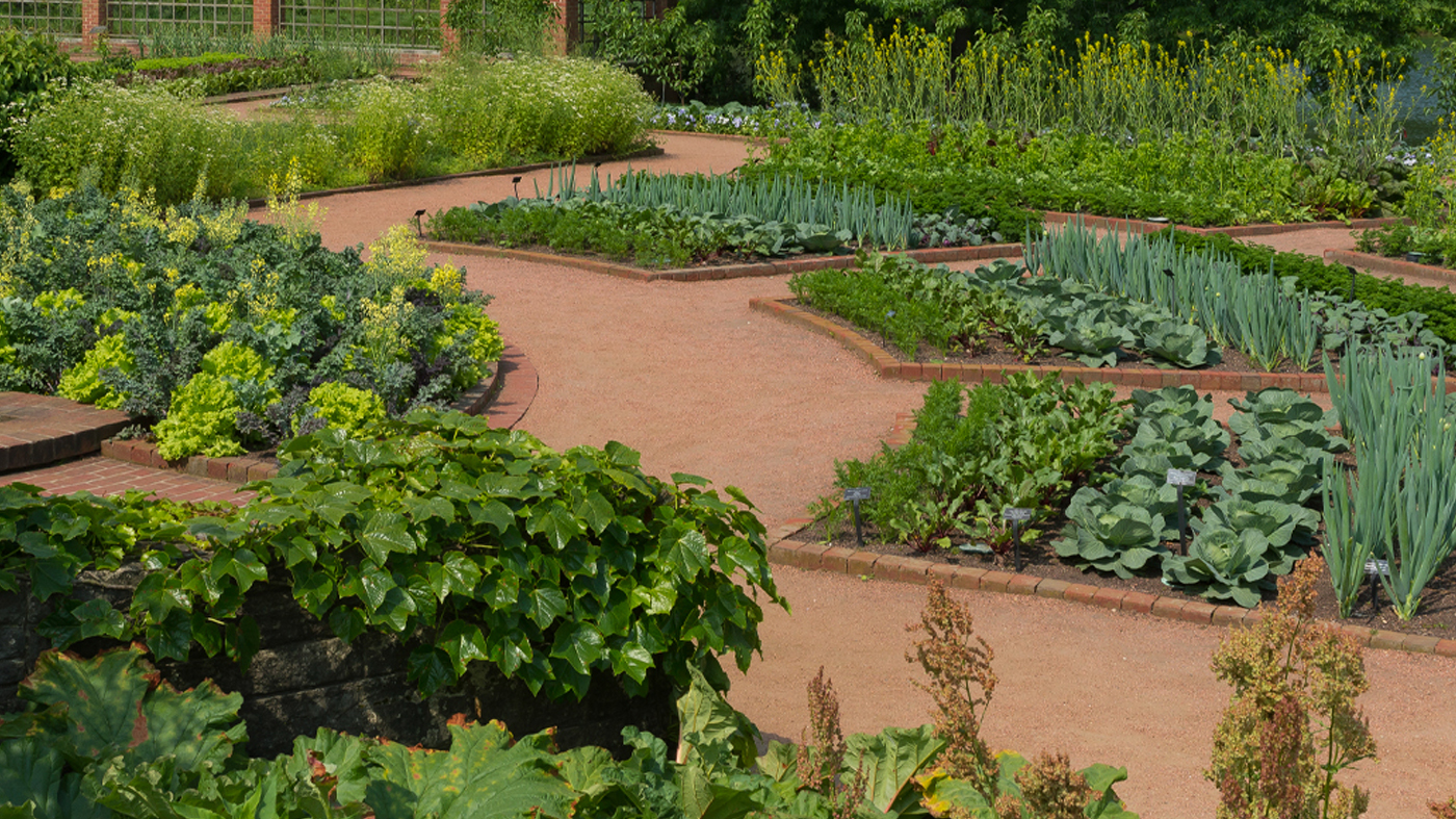 Crescent garden, fruit and vegetables