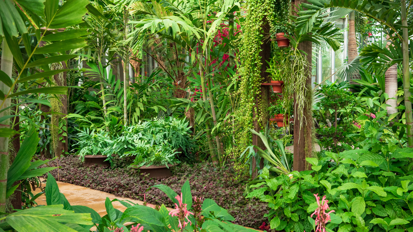 Greenhouse-tropical