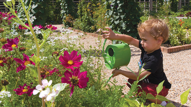 child watering flowers