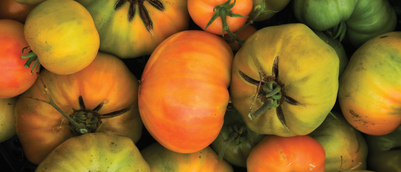 Heirloom tomatoes