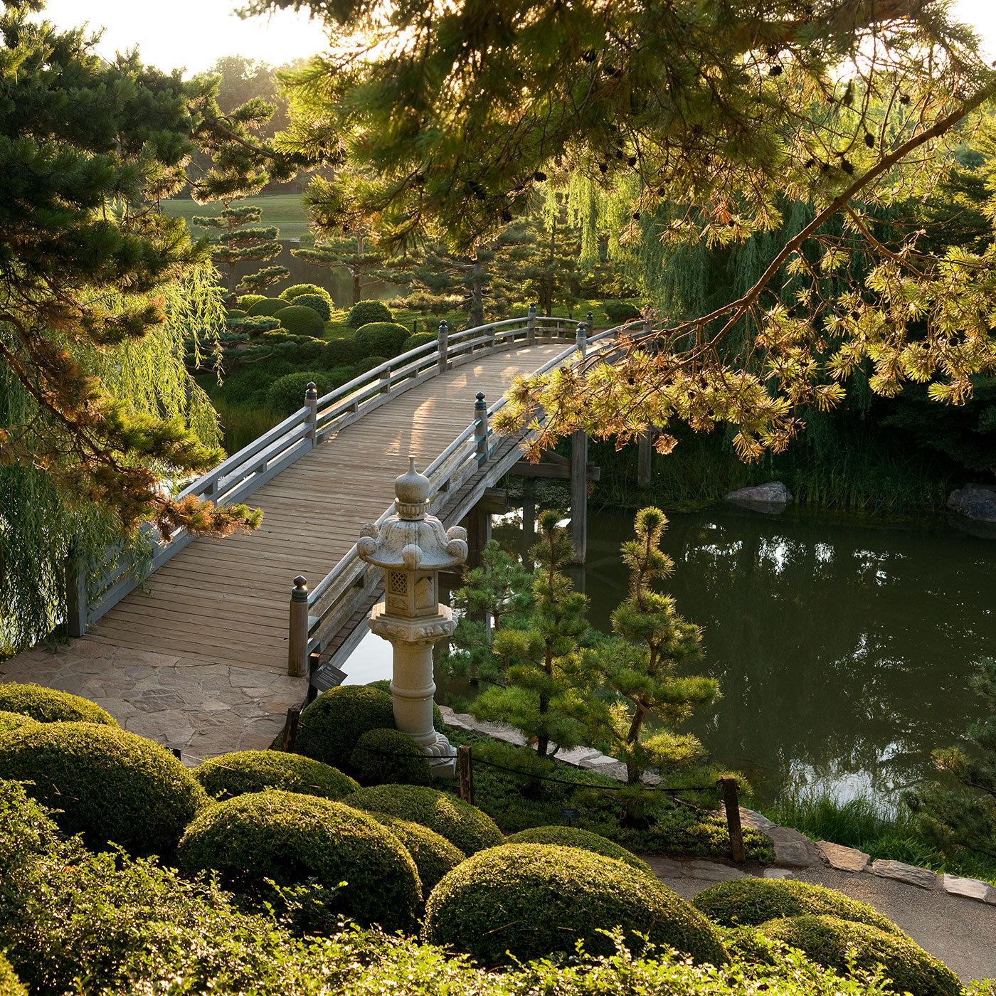 Japanese Garden Bridge