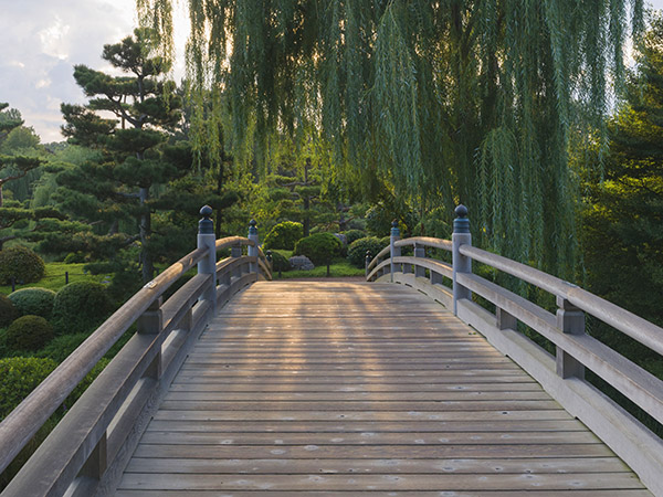 Japanese garden bridge