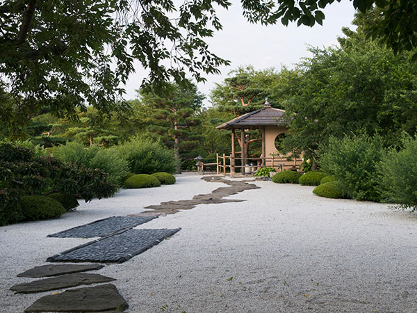 Japanese garden