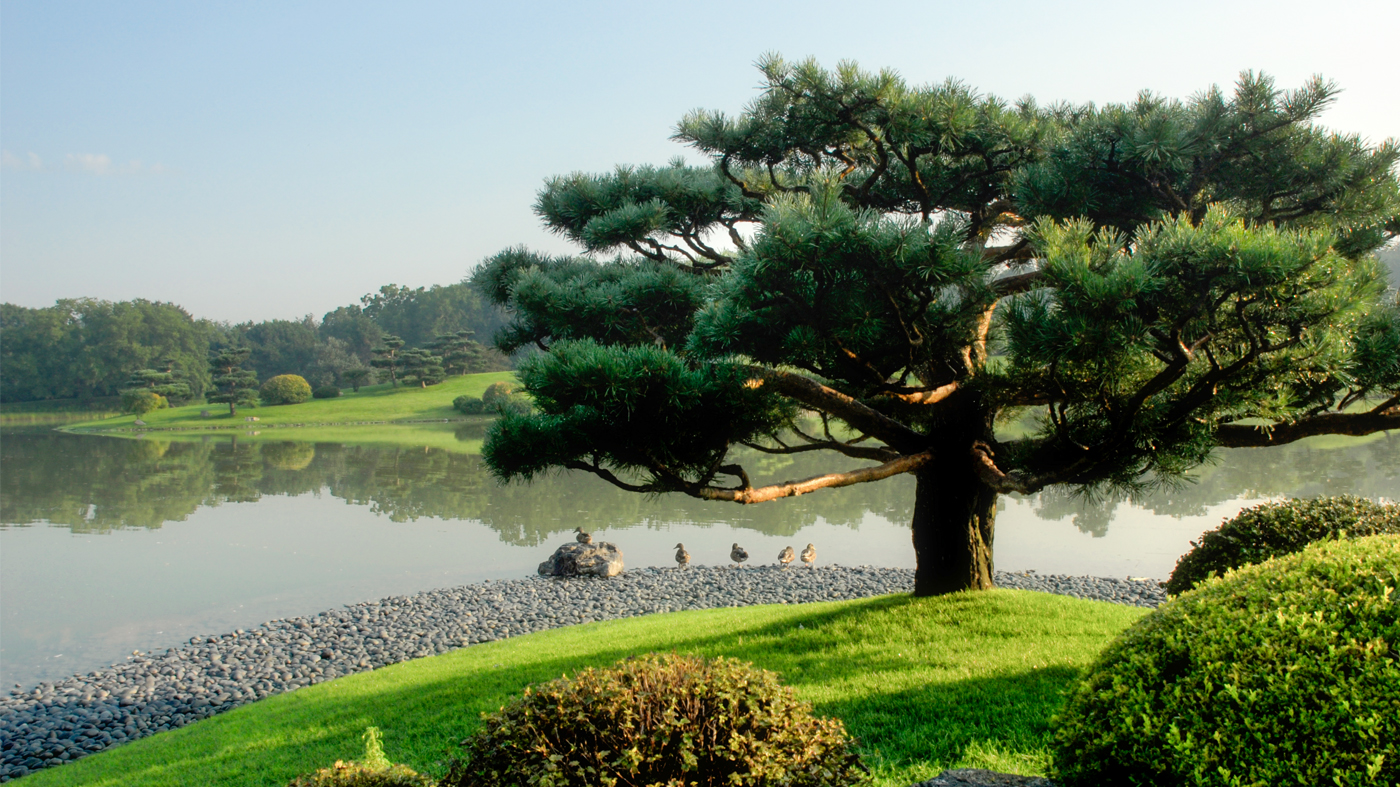 Japanese Garden