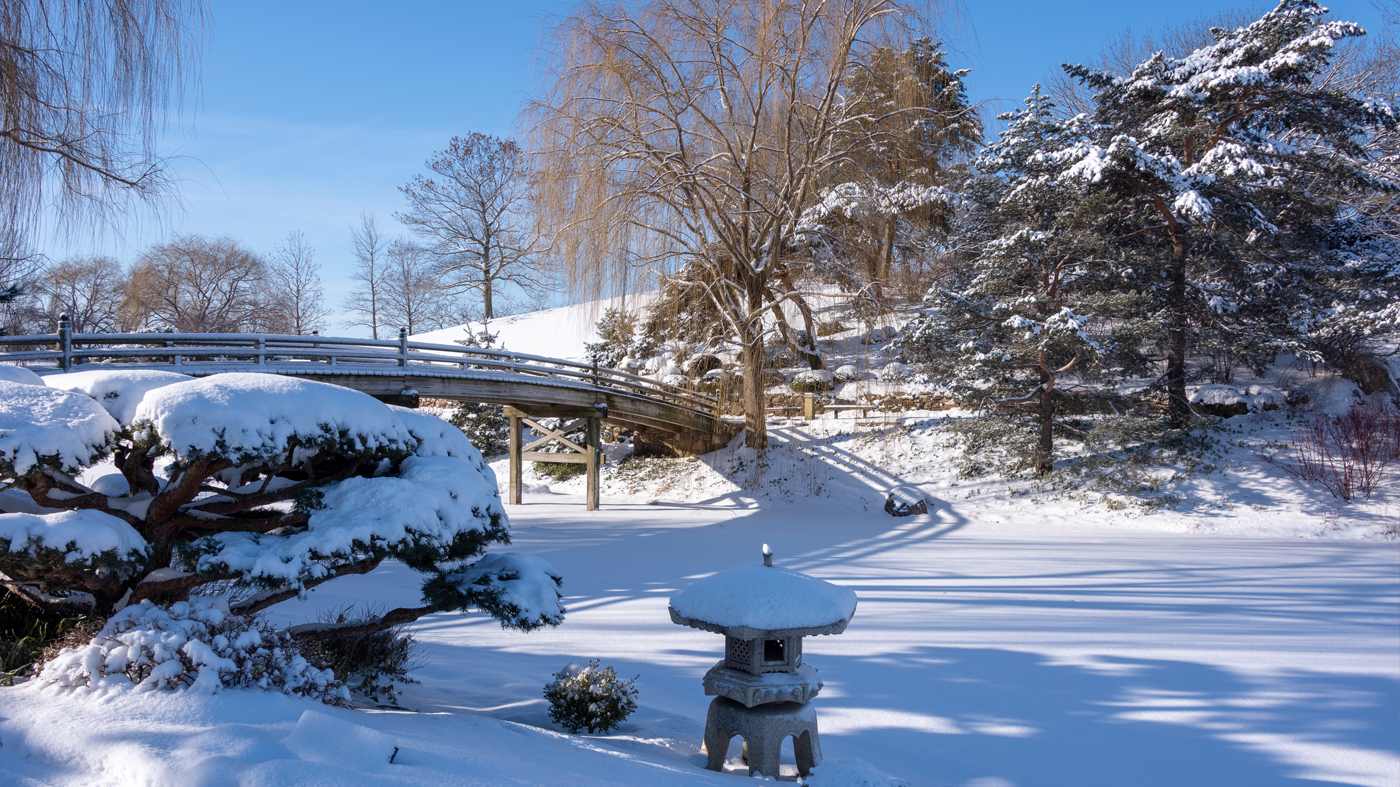 Elizabeth Hubert Malott Japanese Garden