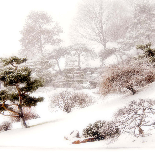 Japanese Garden