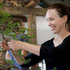 Jennifer Price bonsai artist