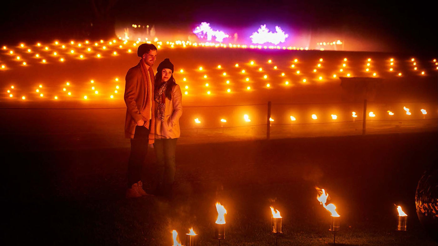 Light up the night