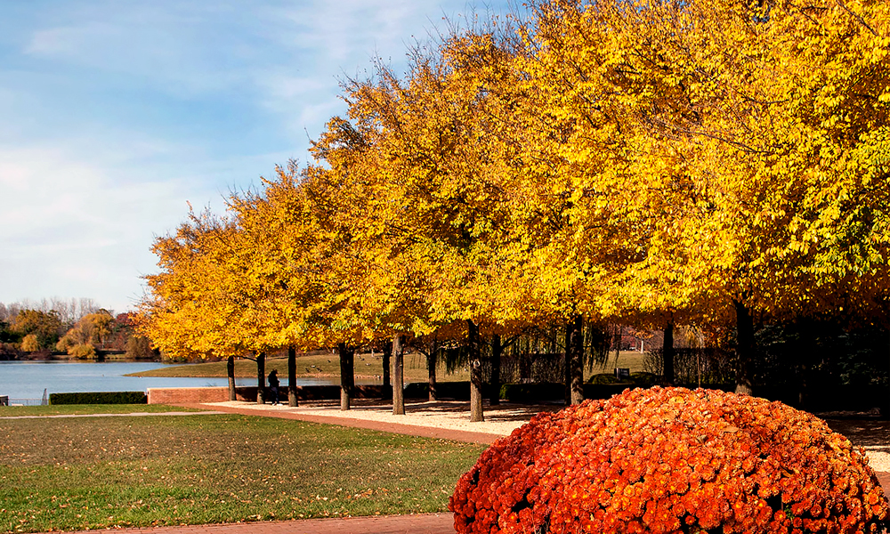 Esplanade in fall