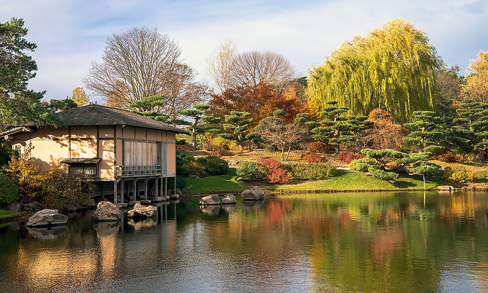 Japanese Garden in fall