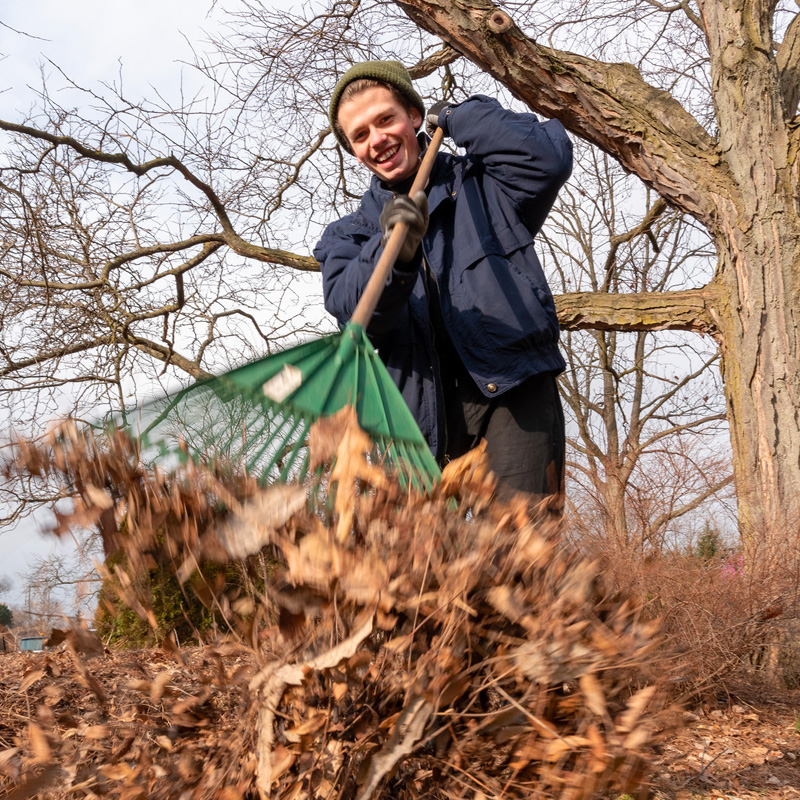 Use Fall leave: Raking Leaves