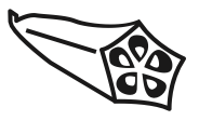 okra