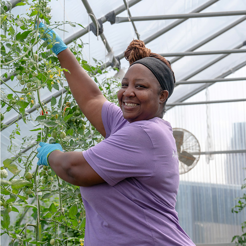 pcc wellness farm