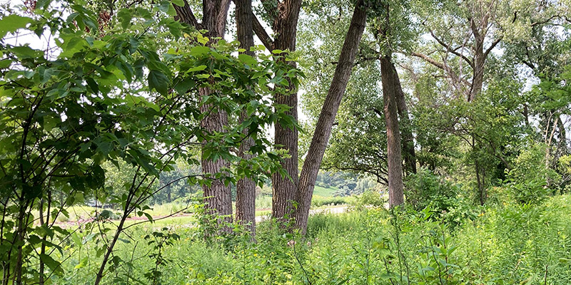 pcsc woods