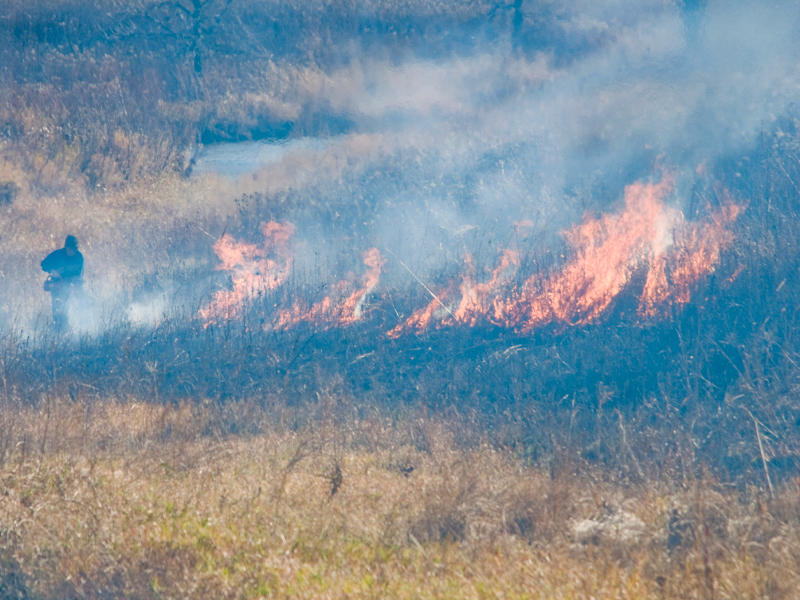 Prairie fire