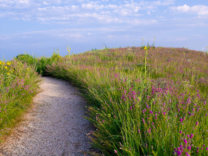 Prairie gravel hill