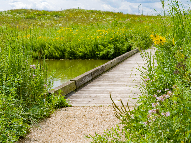 Prairie wet