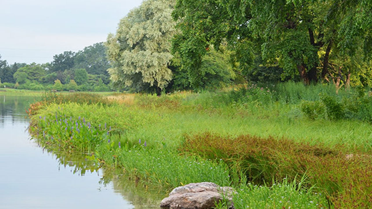 prairie and stream