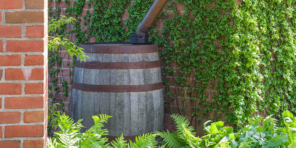 Rain barrel