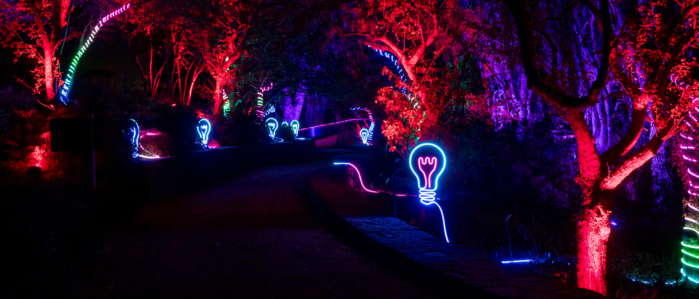 Bright Ideas in the Lakeside Gardens, 