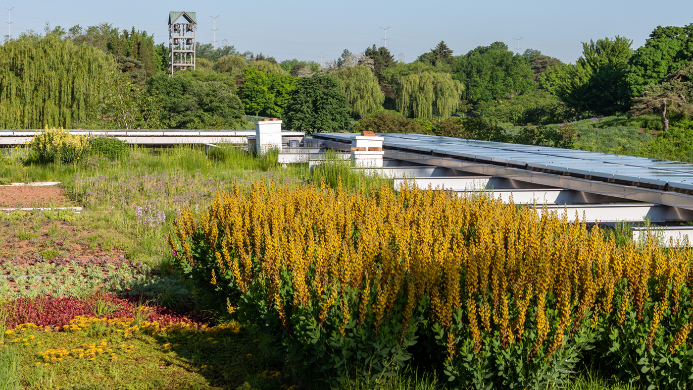 Daniel F. and Ada L. Rice Plant Conservation Science Center