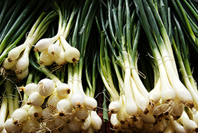scallions