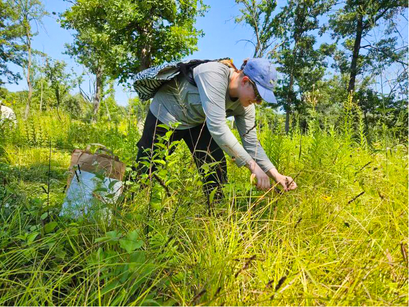 sena ecological restoration technicians