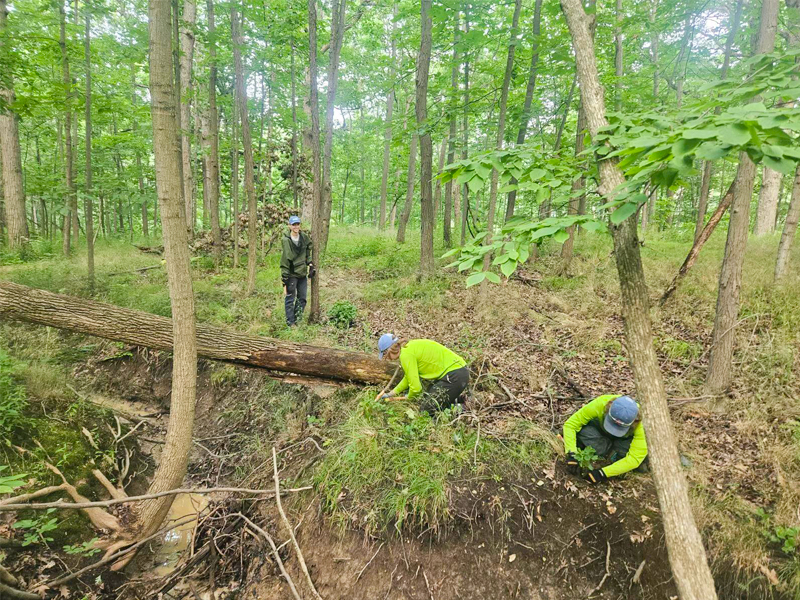 sena ecological restoration technicians
