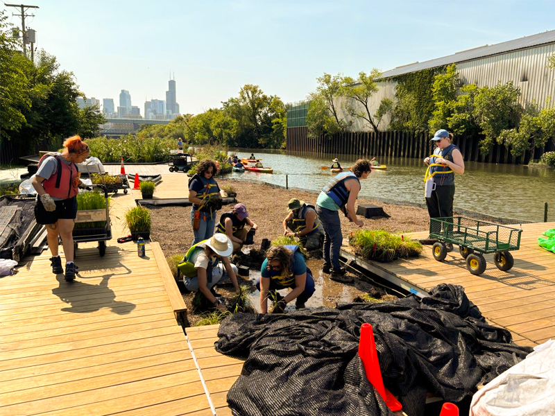 sena ecological restoration technicians
