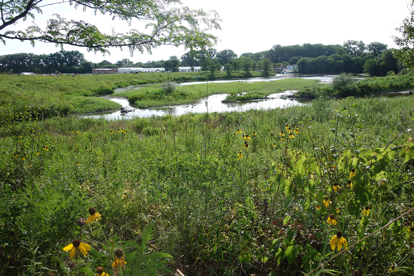 Skokie River Corridor