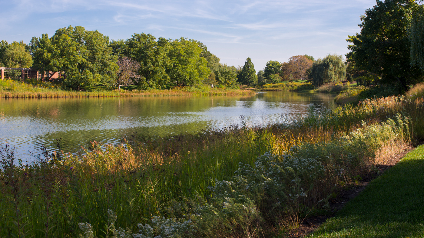 Skokie River