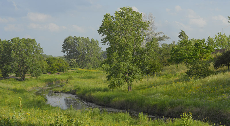 skokie river