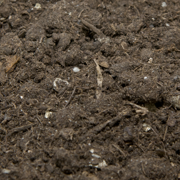 Organic Soil vs. Compost