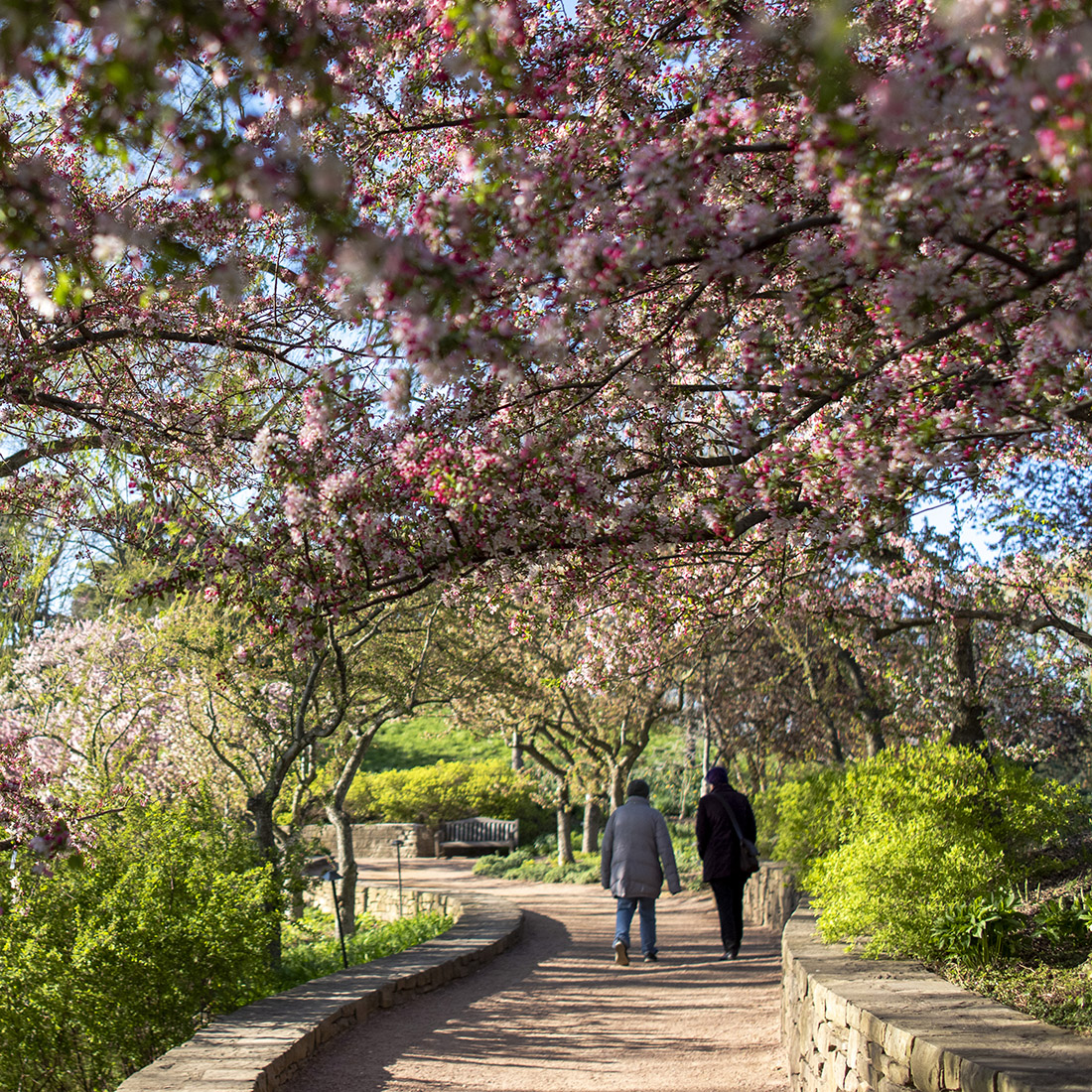 spring visitors