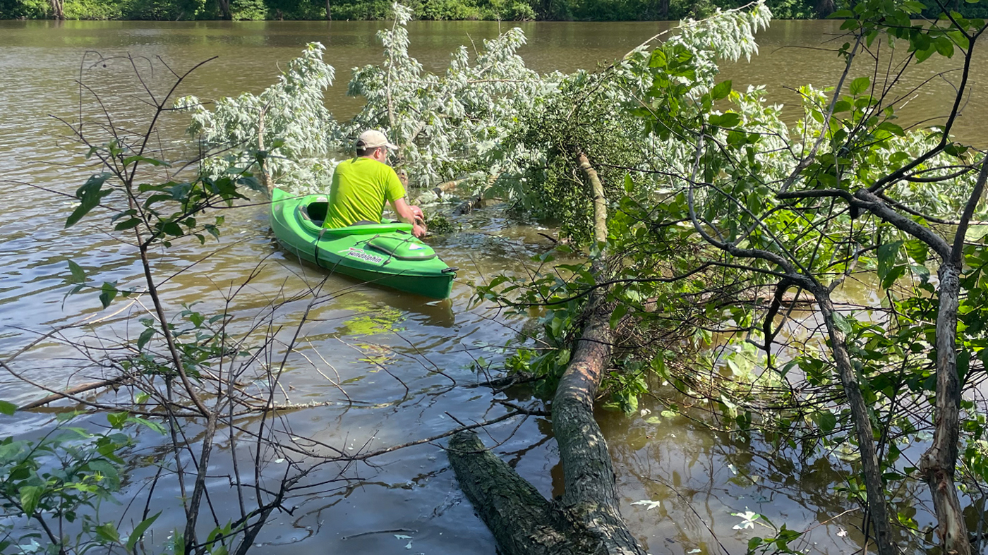 Todd in kayak finding mistletoe