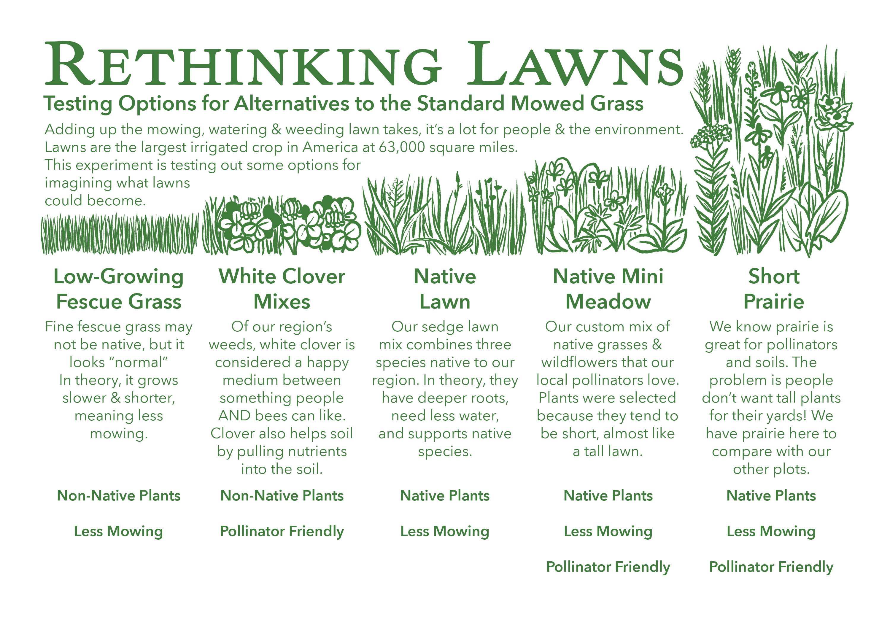 Rethinking lawns graphic