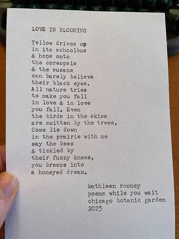 typed-poem