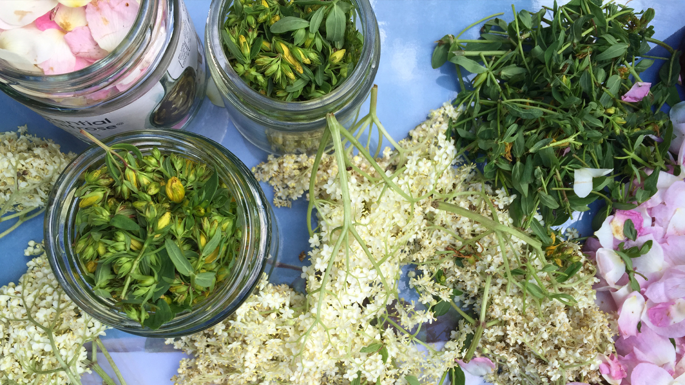 Wellness through herbs