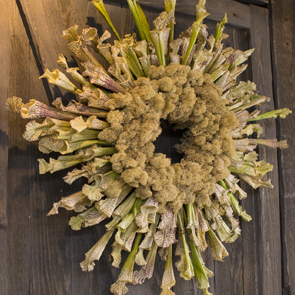 wreath: dried flowers