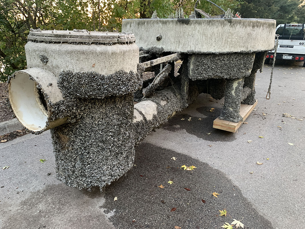 zebra mussels on Smith fountain