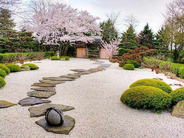 Zen garden rocks