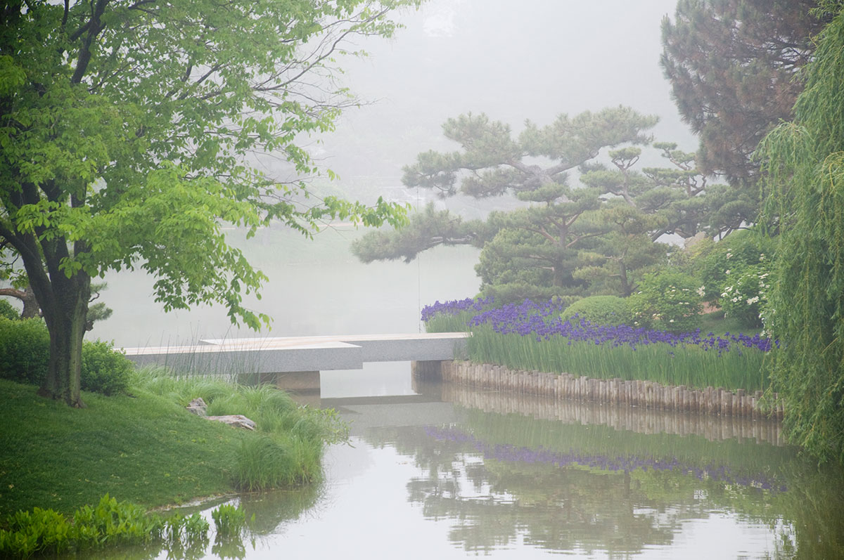 Zigzag Bridge