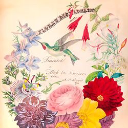 Language of Flowers