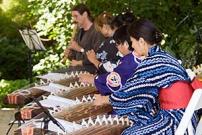 Malott Japanese Garden Spring Festival