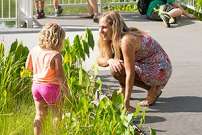 Nature Nights: Aquatic Adventure