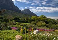 Kirstenbosch